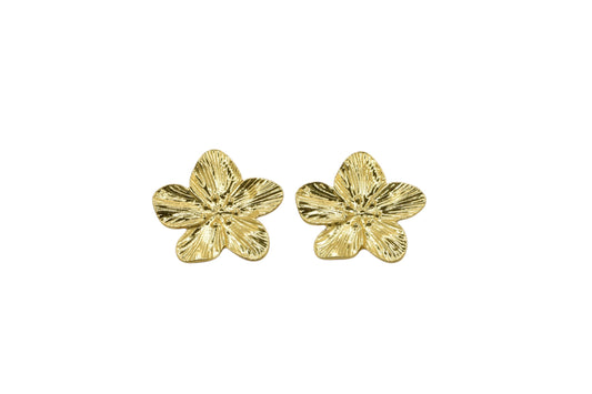 Sophie Studs